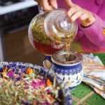 Plantas medicinais como cultivar em casa. 5