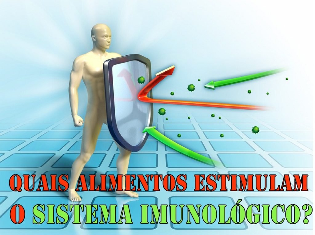 Quais Alimentos Estimulam o Sistema Imunológico