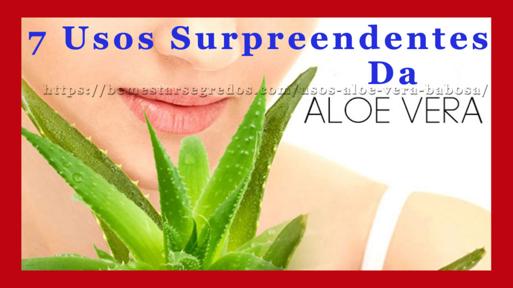 Aloe Vera Prime Orgânica e Liofilizada