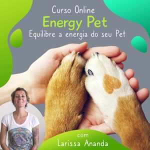 ENERGY PET - EQUILIBRE A ENERGIA DO SEU PET
