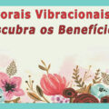 Florais Vibracionais: Sua Importância para a Saúde - Descubra os Benefícios 4