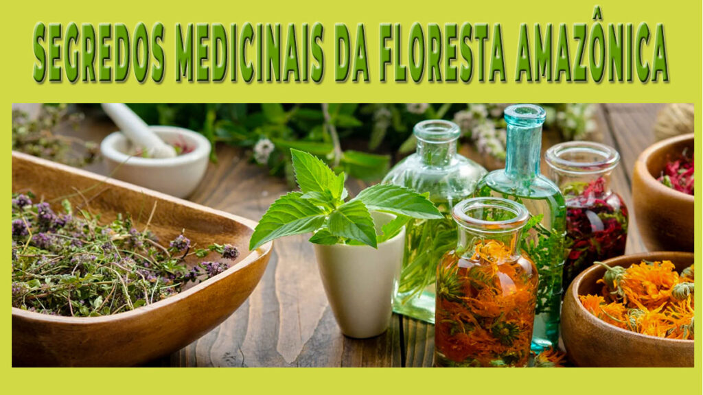 Segredos Medicinais da Floresta Amazônica: Uma Jornada pe1o Conhecimento 6