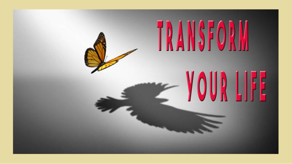 Transform Your Life